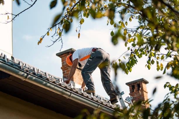 Residential Roof Replacement in Vine Grove, KY