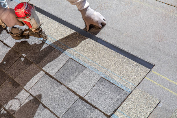 Best Flat Roof Repair Services  in Vine Grove, KY